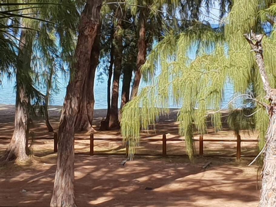 Beachfront Apartment Flic-en-Flacq Εξωτερικό φωτογραφία